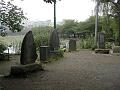 DSCN5637.JPG