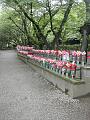 DSCN5753.JPG