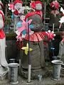 DSCN5755.JPG