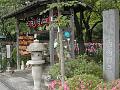 DSCN5758.JPG