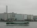 DSCN5811.JPG