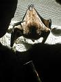 DSCN6238.JPG