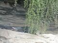 DSCN6247.JPG